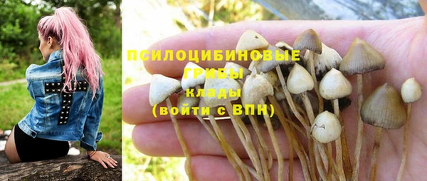 ГАЛЛЮЦИНОГЕННЫЕ ГРИБЫ Орск