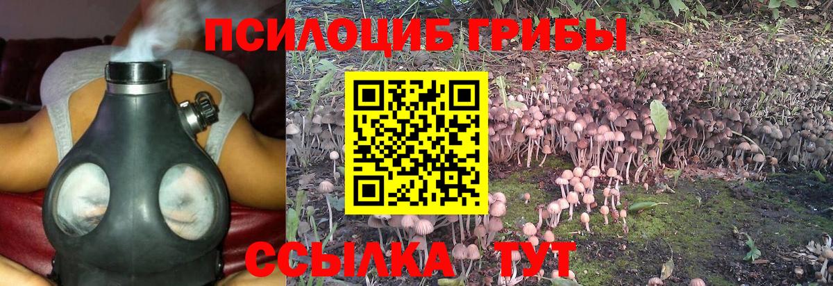купить наркотики цена  Вход с VPN  Белебей  Псилоцибиновые грибы Magic Shrooms 